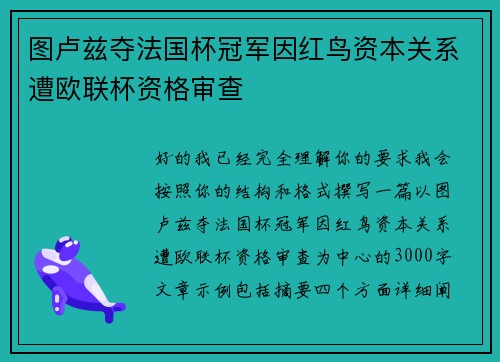 图卢兹夺法国杯冠军因红鸟资本关系遭欧联杯资格审查 图卢兹夺法国杯冠军因红鸟资本关系遭欧联杯资格审查